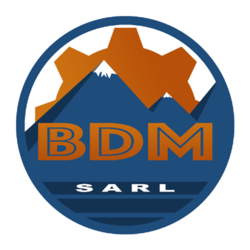 BDM Mining Services DRC