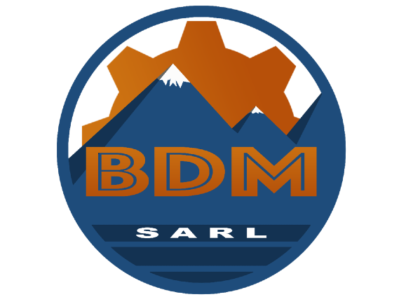 BDM Mining Services DRC